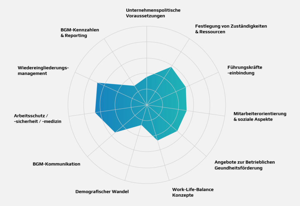 BGM-Analyse und Strategie - BGM Reifegrad analysieren